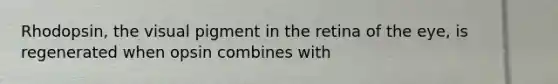 Rhodopsin, the visual pigment in the retina of the eye, is regenerated when opsin combines with