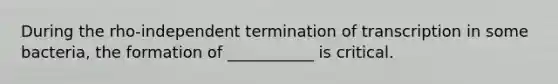 During the rho-independent termination of transcription in some bacteria, the formation of ___________ is critical.