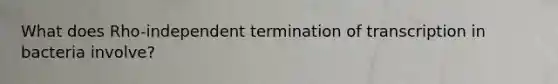 What does Rho-independent termination of transcription in bacteria involve?