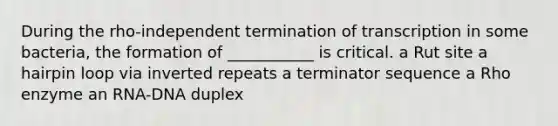 During the rho-independent termination of transcription in some bacteria, the formation of ___________ is critical. a Rut site a hairpin loop via inverted repeats a terminator sequence a Rho enzyme an RNA-DNA duplex