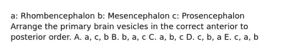 a: Rhombencephalon b: Mesencephalon c: Prosencephalon Arrange the primary brain vesicles in the correct anterior to posterior order. A. a, c, b B. b, a, c C. a, b, c D. c, b, a E. c, a, b