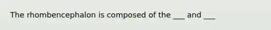 The rhombencephalon is composed of the ___ and ___