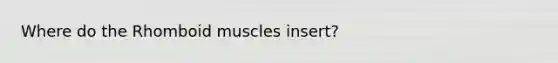 Where do the Rhomboid muscles insert?