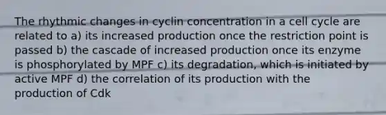 The rhythmic changes in cyclin concentration in a <a href='https://www.questionai.com/knowledge/keQNMM7c75-cell-cycle' class='anchor-knowledge'>cell cycle</a> are related to a) its increased production once the restriction point is passed b) the cascade of increased production once its enzyme is phosphorylated by MPF c) its degradation, which is initiated by active MPF d) the correlation of its production with the production of Cdk