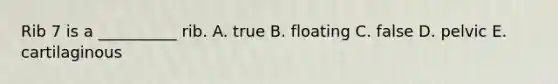 Rib 7 is a __________ rib. A. true B. floating C. false D. pelvic E. cartilaginous