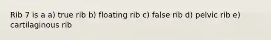 Rib 7 is a a) true rib b) floating rib c) false rib d) pelvic rib e) cartilaginous rib