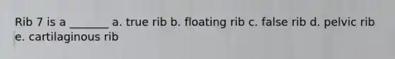 Rib 7 is a _______ a. true rib b. floating rib c. false rib d. pelvic rib e. cartilaginous rib