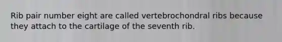 Rib pair number eight are called vertebrochondral ribs because they attach to the cartilage of the seventh rib.