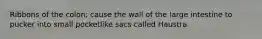 Ribbons of the colon; cause the wall of the large intestine to pucker into small pocketlike sacs called Haustra