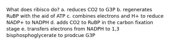 What does ribisco do? a. reduces CO2 to G3P b. regenerates RuBP with the aid of ATP c. combines electrons and H+ to reduce NADP+ to NADPH d. adds CO2 to RuBP in the carbon fixation stage e. transfers electrons from NADPH to 1,3 bisphosphoglycerate to prodcue G3P