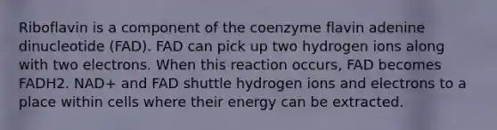 Riboflavin is a component of the coenzyme flavin adenine dinucleotide (FAD). FAD can pick up two hydrogen ions along with two electrons. When this reaction occurs, FAD becomes FADH2. NAD+ and FAD shuttle hydrogen ions and electrons to a place within cells where their energy can be extracted.