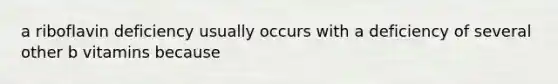 a riboflavin deficiency usually occurs with a deficiency of several other b vitamins because