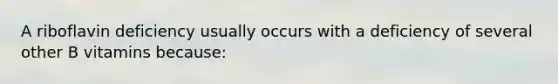 A riboflavin deficiency usually occurs with a deficiency of several other B vitamins because: