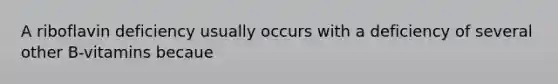 A riboflavin deficiency usually occurs with a deficiency of several other B-vitamins becaue
