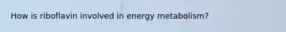 How is riboflavin involved in energy metabolism?