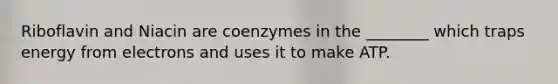 Riboflavin and Niacin are coenzymes in the ________ which traps energy from electrons and uses it to make ATP.