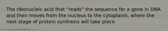 The ribonucleic acid that "reads" the sequence for a gene in DNA and then moves from the nucleus to the cytoplasm, where the next stage of protein synthesis will take place