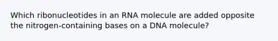 Which ribonucleotides in an RNA molecule are added opposite the nitrogen-containing bases on a DNA molecule?