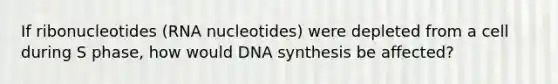 If ribonucleotides (RNA nucleotides) were depleted from a cell during S phase, how would DNA synthesis be affected?