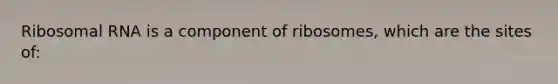 Ribosomal RNA is a component of ribosomes, which are the sites of: