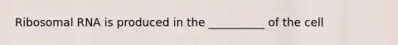 Ribosomal RNA is produced in the __________ of the cell