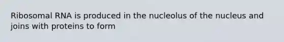 Ribosomal RNA is produced in the nucleolus of the nucleus and joins with proteins to form