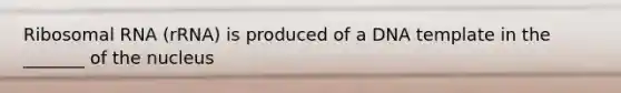 Ribosomal RNA (rRNA) is produced of a DNA template in the _______ of the nucleus