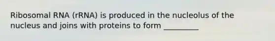 Ribosomal RNA (rRNA) is produced in the nucleolus of the nucleus and joins with proteins to form _________