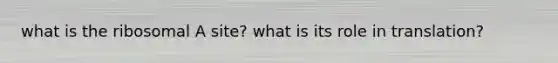 what is the ribosomal A site? what is its role in translation?