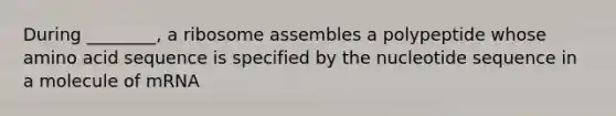 During ________, a ribosome assembles a polypeptide whose amino acid sequence is specified by the nucleotide sequence in a molecule of mRNA