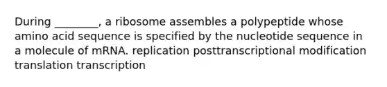 During ________, a ribosome assembles a polypeptide whose amino acid sequence is specified by the nucleotide sequence in a molecule of mRNA. replication posttranscriptional modification translation transcription