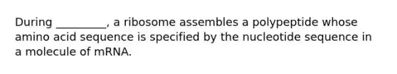 During _________, a ribosome assembles a polypeptide whose amino acid sequence is specified by the nucleotide sequence in a molecule of mRNA.