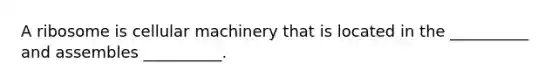 A ribosome is cellular machinery that is located in the __________ and assembles __________.