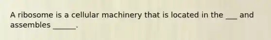 A ribosome is a cellular machinery that is located in the ___ and assembles ______.