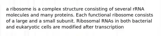 a ribosome is a complex structure consisting of several rRNA molecules and many proteins. Each functional ribosome consists of a large and a small subunit. Ribosomal RNAs in both bacterial and eukaryotic cells are modified after transcription