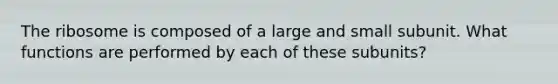 The ribosome is composed of a large and small subunit. What functions are performed by each of these subunits?