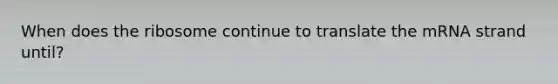 When does the ribosome continue to translate the mRNA strand until?