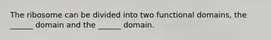 The ribosome can be divided into two functional domains, the ______ domain and the ______ domain.