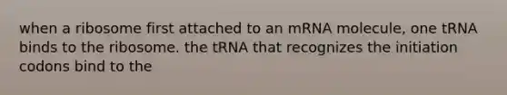 when a ribosome first attached to an mRNA molecule, one tRNA binds to the ribosome. the tRNA that recognizes the initiation codons bind to the