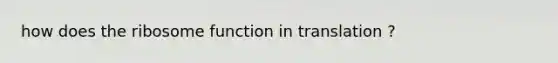 how does the ribosome function in translation ?