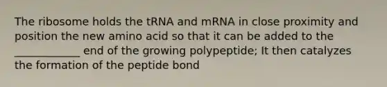 The ribosome holds the tRNA and mRNA in close proximity and position the new amino acid so that it can be added to the ____________ end of the growing polypeptide; It then catalyzes the formation of the peptide bond