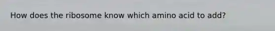 How does the ribosome know which amino acid to add?