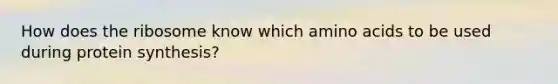 How does the ribosome know which amino acids to be used during protein synthesis?