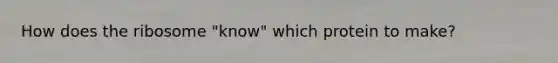 How does the ribosome "know" which protein to make?