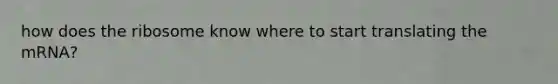 how does the ribosome know where to start translating the mRNA?