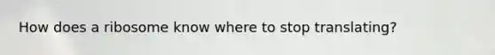 How does a ribosome know where to stop translating?