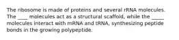 The ribosome is made of proteins and several rRNA molecules. The ____ molecules act as a structural scaffold, while the _____ molecules interact with mRNA and tRNA, synthesizing peptide bonds in the growing polypeptide.