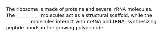 The ribosome is made of proteins and several rRNA molecules. The __________ molecules act as a structural scaffold, while the __________ molecules interact with mRNA and tRNA, synthesizing peptide bonds in the growing polypeptide.