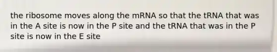 the ribosome moves along the mRNA so that the tRNA that was in the A site is now in the P site and the tRNA that was in the P site is now in the E site