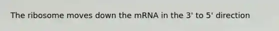 The ribosome moves down the mRNA in the 3' to 5' direction